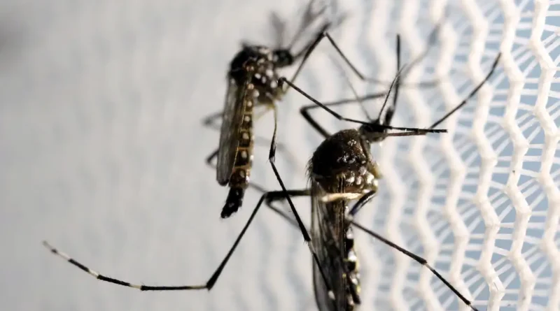 Saúde realiza operação contra a dengue em Jambeiro